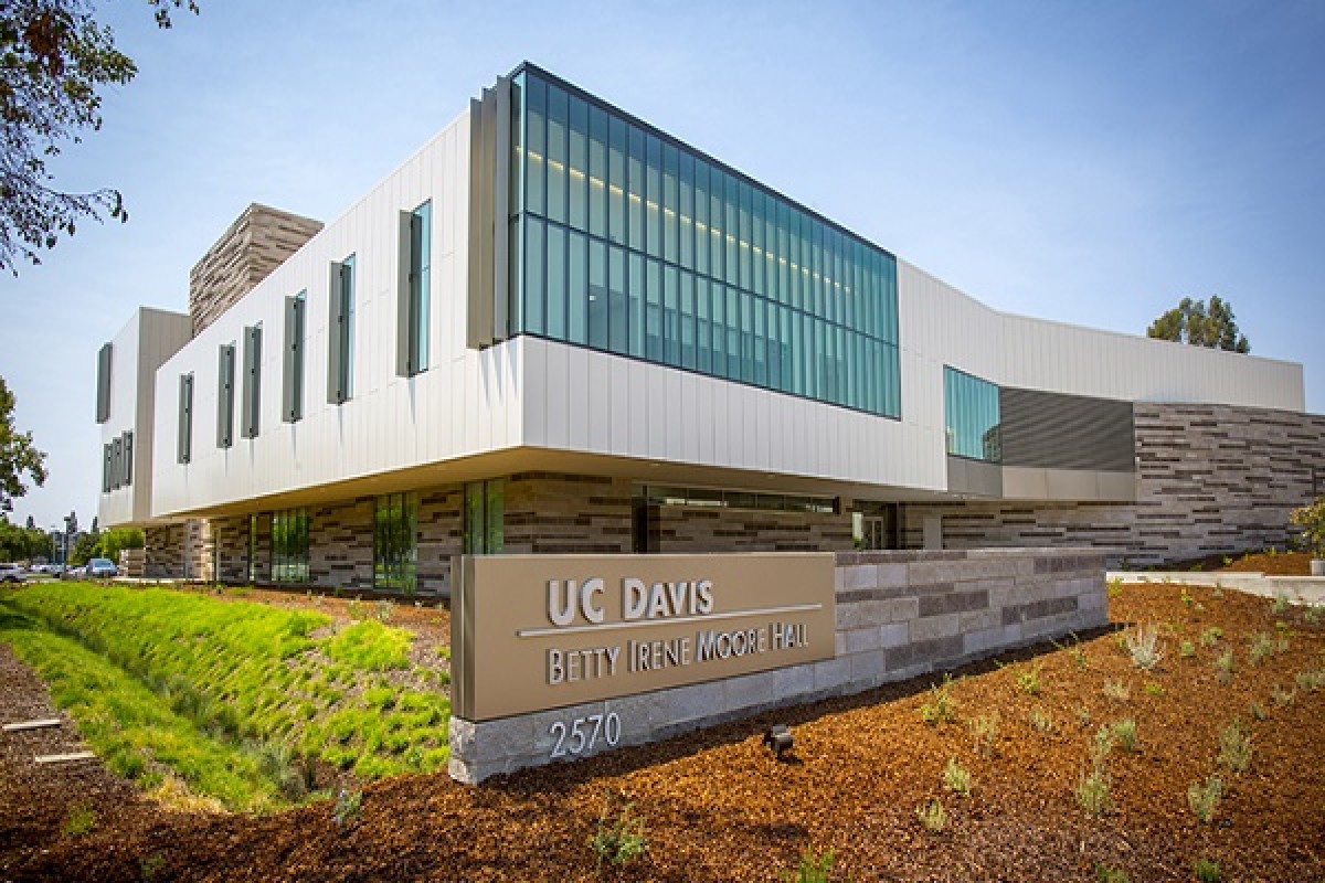 University of California- Davis Campus